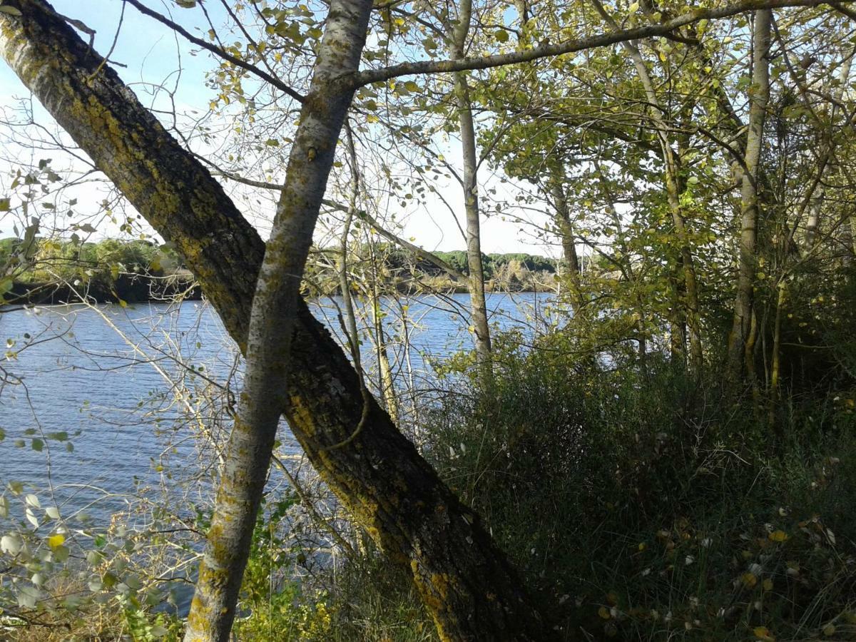 Pinar De Las Cabanuelas Villanueva de Duero Екстер'єр фото