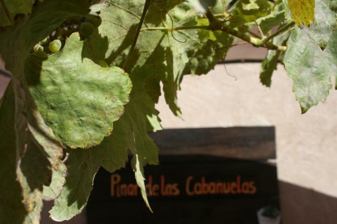 Pinar De Las Cabanuelas Villanueva de Duero Екстер'єр фото